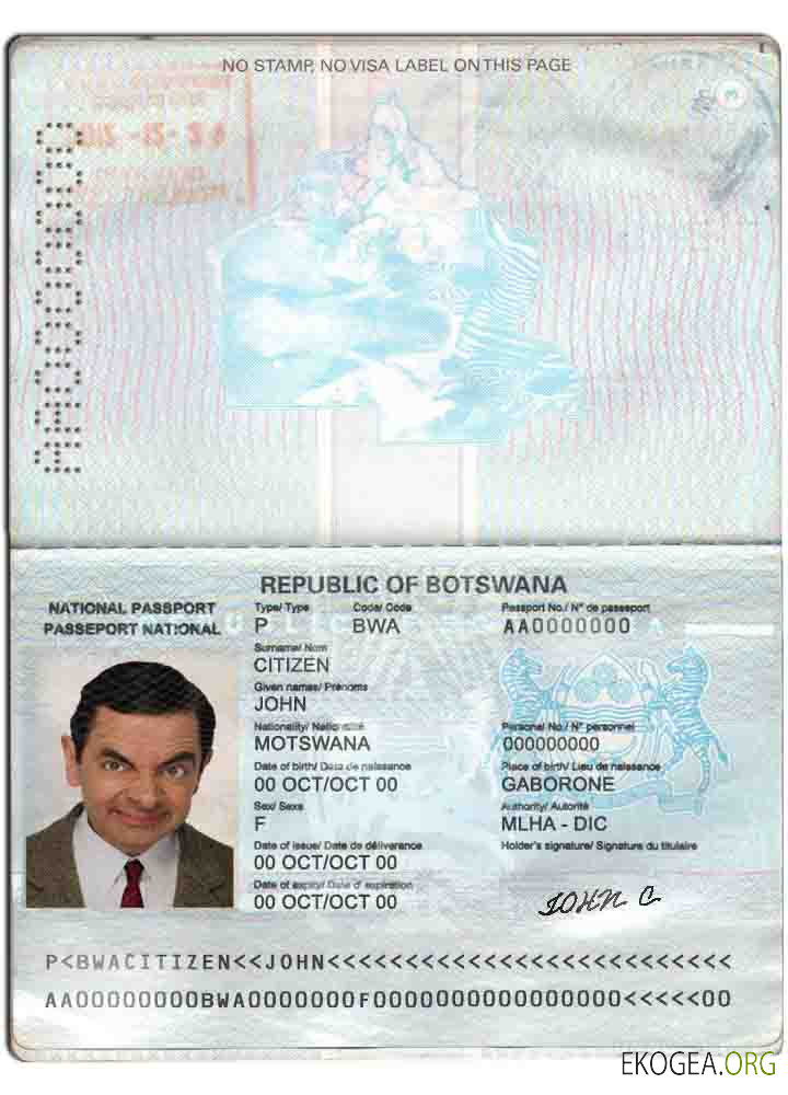 Passeport botswanais